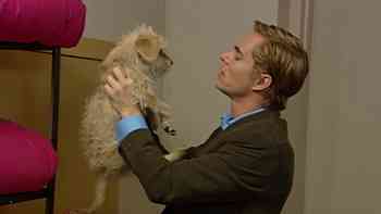 Las apariencias engañan