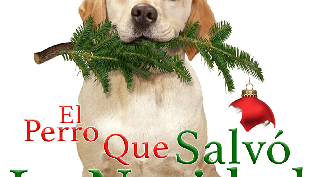 El perro que salvó la Navidad | ViX