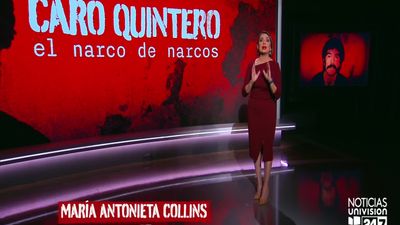 Caro Quintero: Narco de Narcos | ViX
