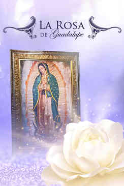 Gritos silenciosos