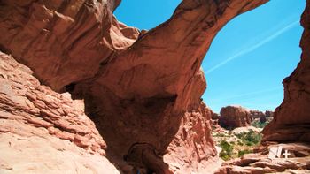 Biodiversidad: Ingenio de la naturaleza