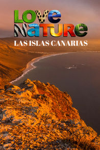 Las Islas Canarias