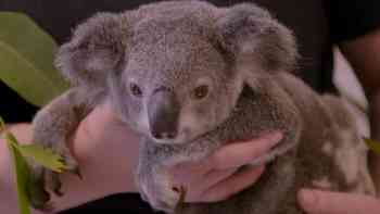 Tácticas de emergencia