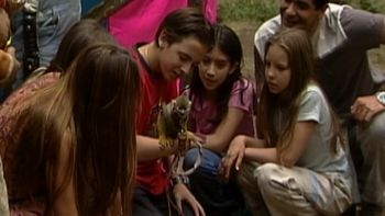 Pequeña sorpresa