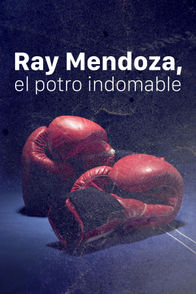 Ray Mendoza: El potro indomable