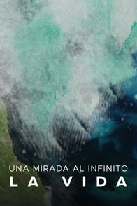 Una mirada al infinito: La vida