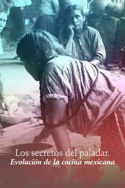 Los secretos del paladar: Evolución de la cocina mexicana