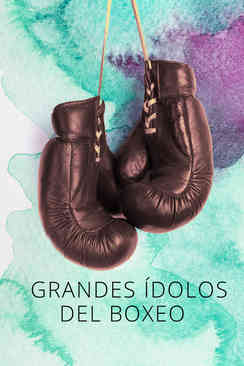 Grandes ídolos del boxeo I
