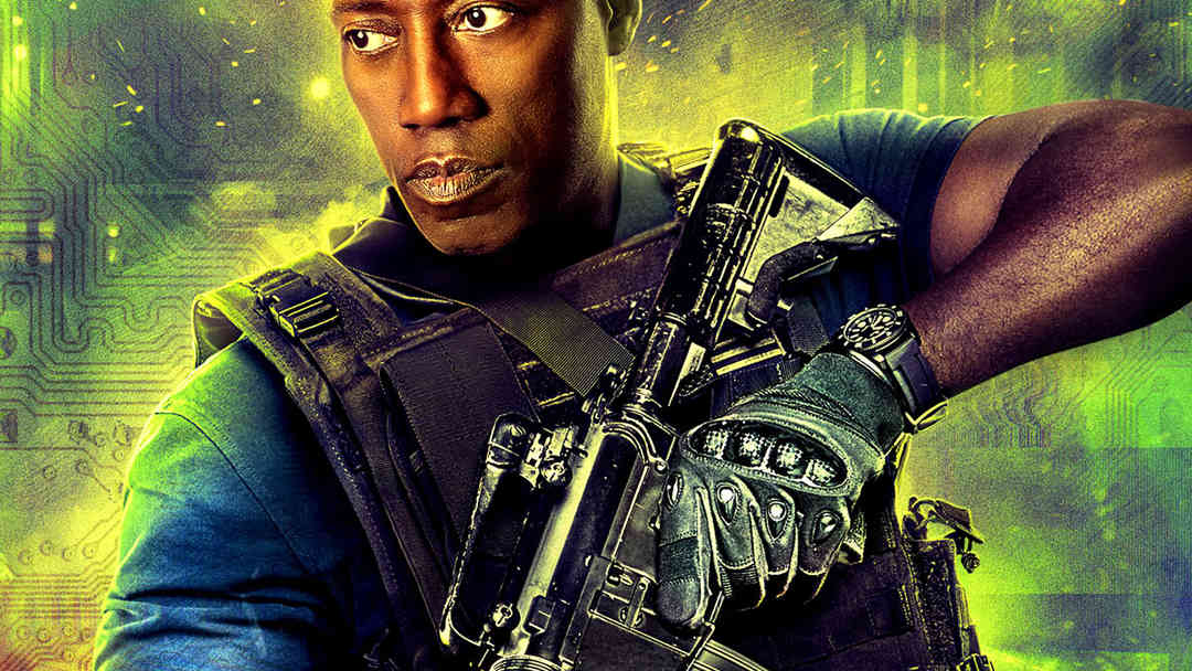 Armed Response | ViX