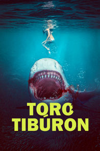 Toro tiburón