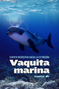 Cuenta regresiva hacia la extinción: Vaquita Marina