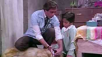 Salud animal precaria