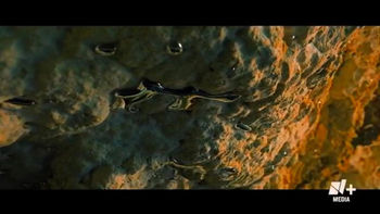 El paraíso subacuático en riesgo