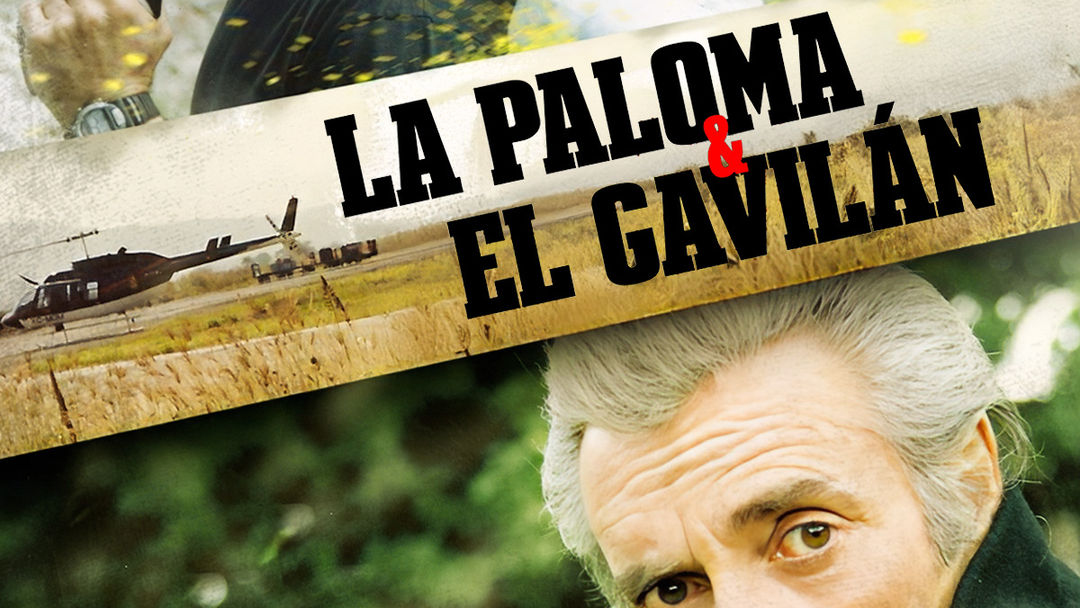 La paloma y el gavilán | ViX