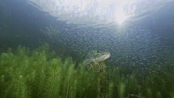 El río invisible