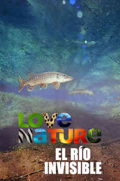 El Río Invisible