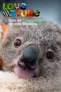 Sala de emergencias de vida silvestre