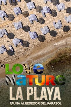 La Playa: Fauna Alrededor del Parasol
