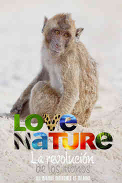 La Revolución de los Monos: Los Macacos Buceadores de Tailandia