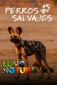 Perros Salvajes