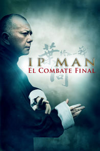 Ip Man: El combate final | ViX