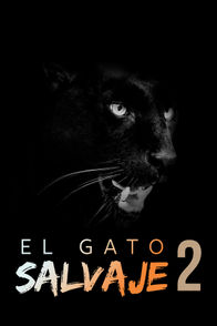El Gato Salvaje 2 | ViX