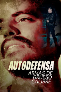 Autodefensa: Armas de grueso calibre