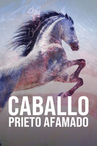 Caballo prieto afamado