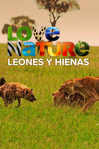 Leones y hienas