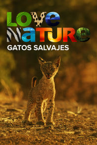 Gatos salvajes