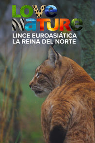 Lince euroasiática: La reina del Norte