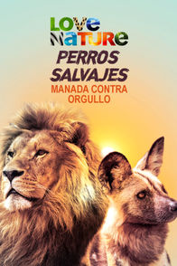 Perros salvajes: Manada contra orgullo