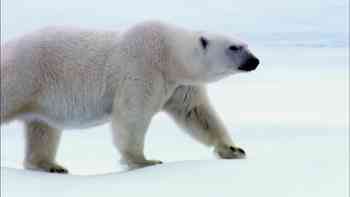 La guerra de los mundos