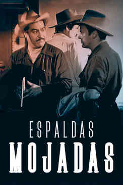 Espaldas mojadas