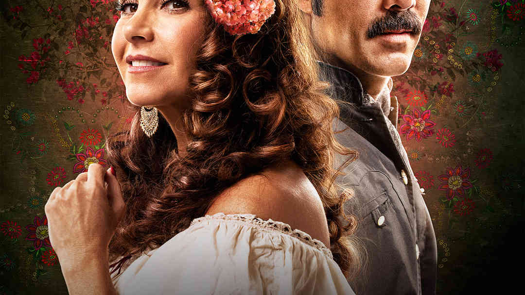 El Gallo de Oro | ViX