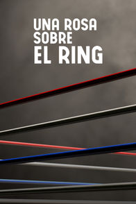 Una rosa sobre el ring