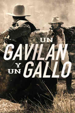 Un gavilán y un gallo