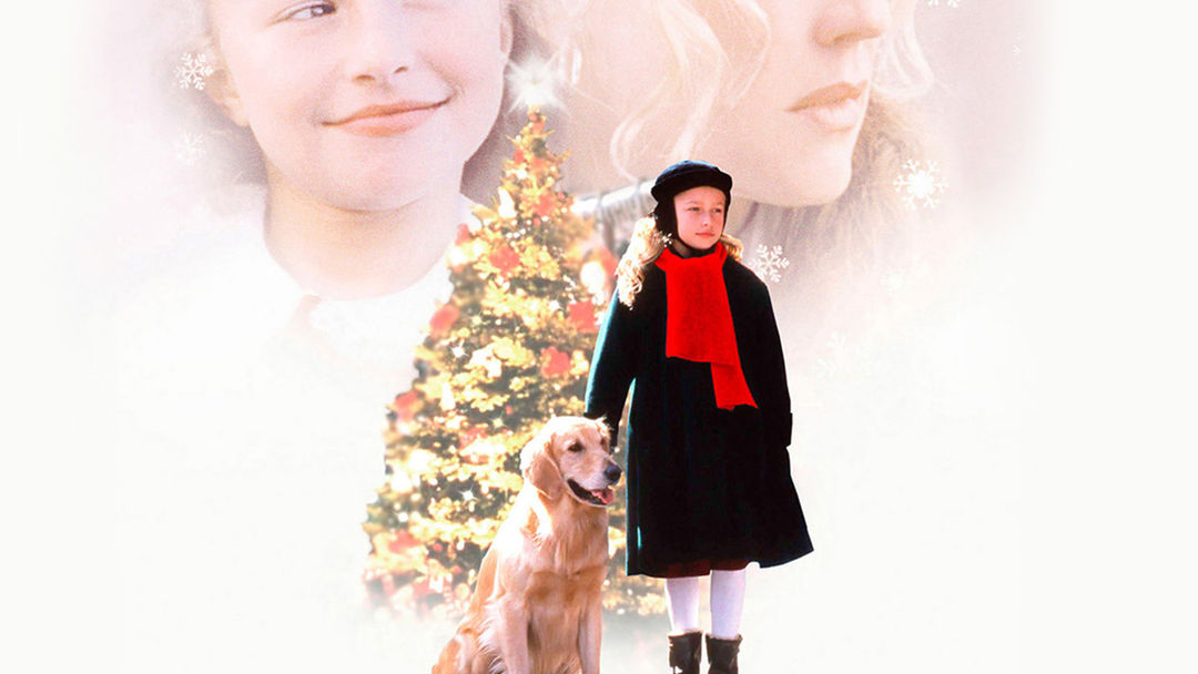 If You Believe | ViX