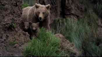 La lucha por la familia