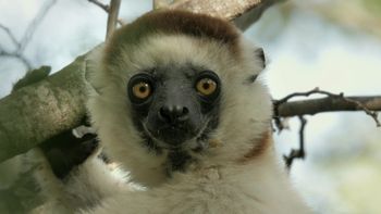 Madagascar