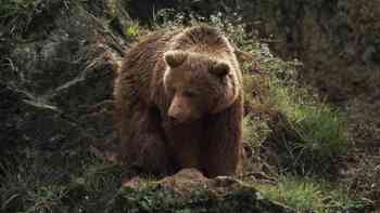 Guía para ser buenos padres