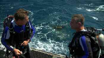 Un poderoso antídoto