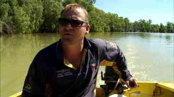 El depredador supremo