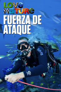 Fuerza de ataque