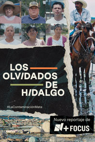 Los olvidados de Hidalgo | ViX