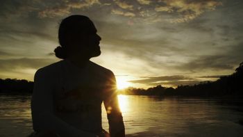 The Amazon Dive