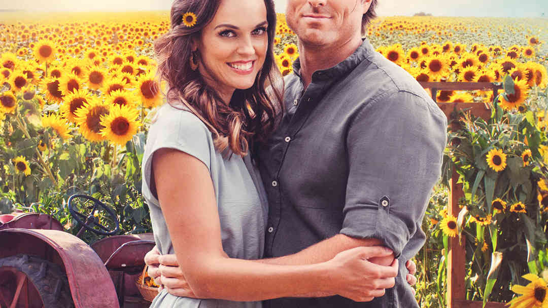 Love Stories in Sunflower Valley | ViX