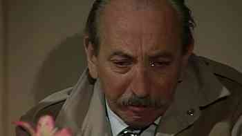 El diario de Marcela