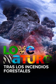 Tras los Incendios Forestales