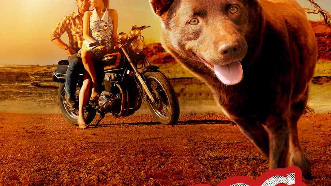 Red Dog | ViX